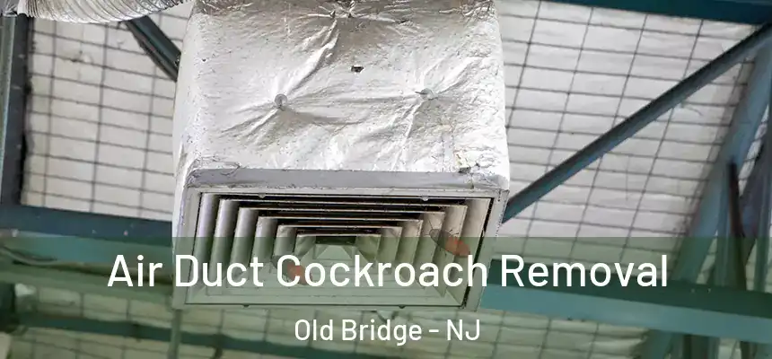  Air Duct Cockroach Removal Old Bridge - NJ