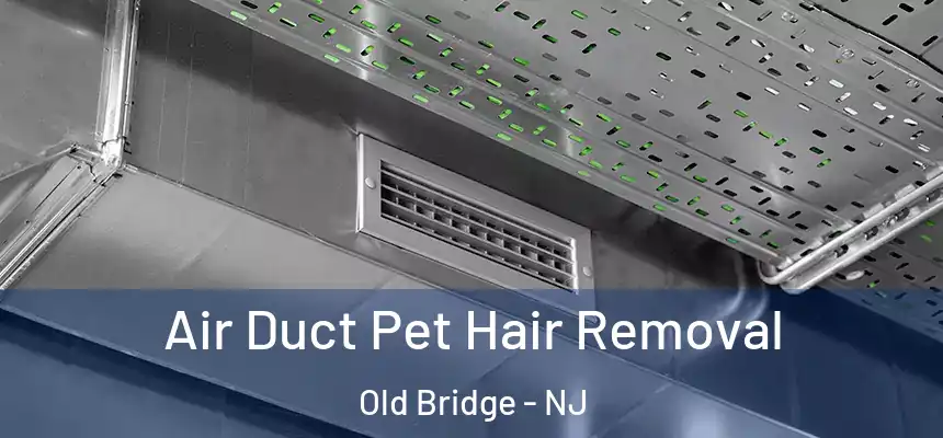  Air Duct Pet Hair Removal Old Bridge - NJ