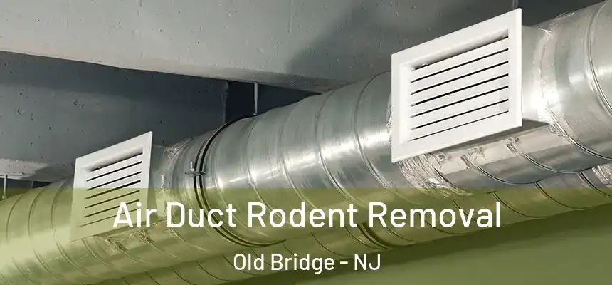 Air Duct Rodent Removal Old Bridge - NJ