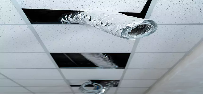 Affordable HVAC Sanitizing After Pest Removal in Old Bridge