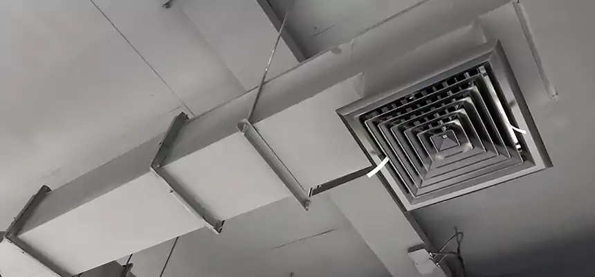 Our Rodent Droppings In Vents Services in Old Bridge, NJ