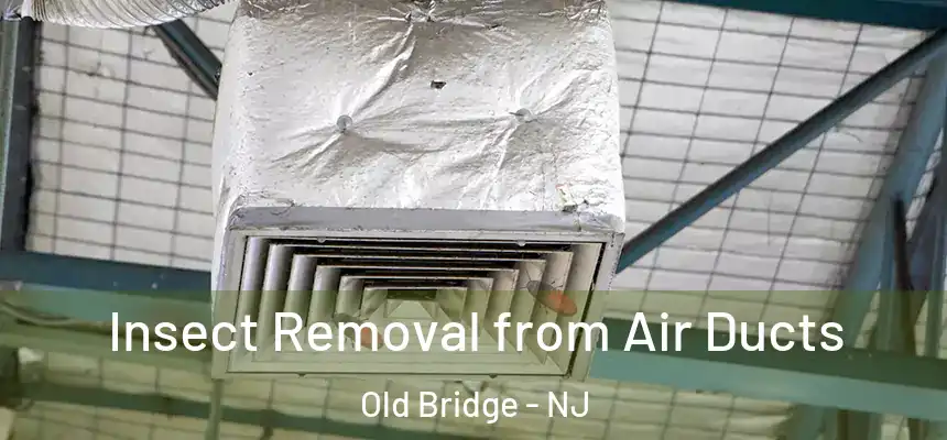  Insect Removal from Air Ducts Old Bridge - NJ