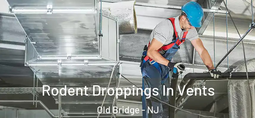  Rodent Droppings In Vents Old Bridge - NJ
