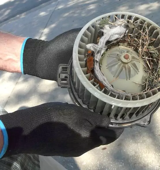 About Air Duct Mice Removal in Old Bridge, NJ