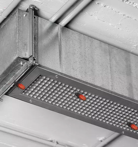 Affordable Insect Removal from Air Ducts in Old Bridge, NJ